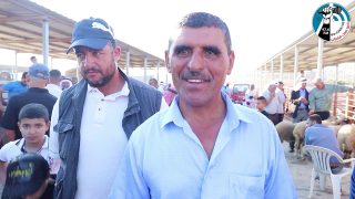 الاضحية هذا العام لمن استطاع اليها سبيلا