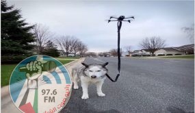 بالفيديو… أميركي ينزه كلبته باستخدام طائرة «درون» بسبب «كورونا»