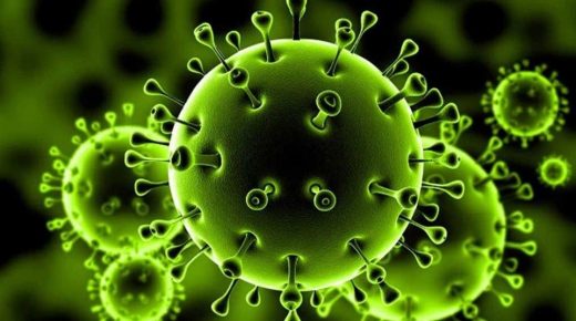 ” محدث ” وزيرة الصحة: تسجيل7 إصابات جديدة بفيروس “كورونا” لترفع الحصيلة إلى 320