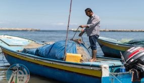 غزة: تعميم بحجر الصيادين الذين يتجاوزون الحدود الشمالية والجنوبية