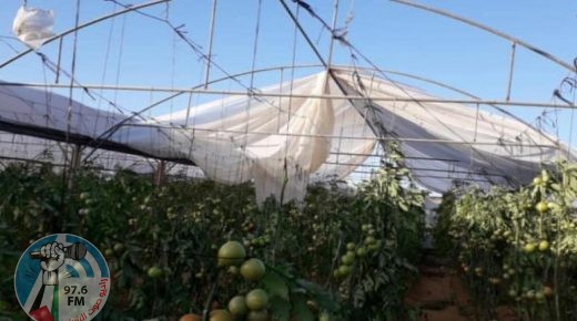 وزير الزراعة يعلن تقديم مساعدات عينية للمزارعين المتضررين من المنخفضات الجوية الأخيرة