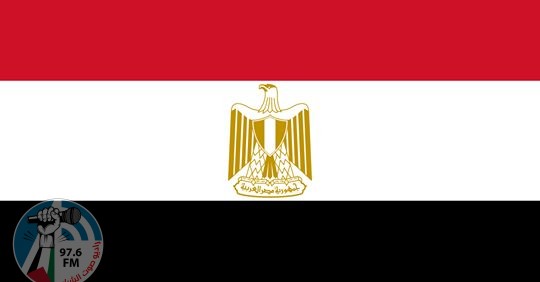 الصحة المصرية: تسجيل 14 وفاة و272 إصابة جديدة بفيروس كورونا