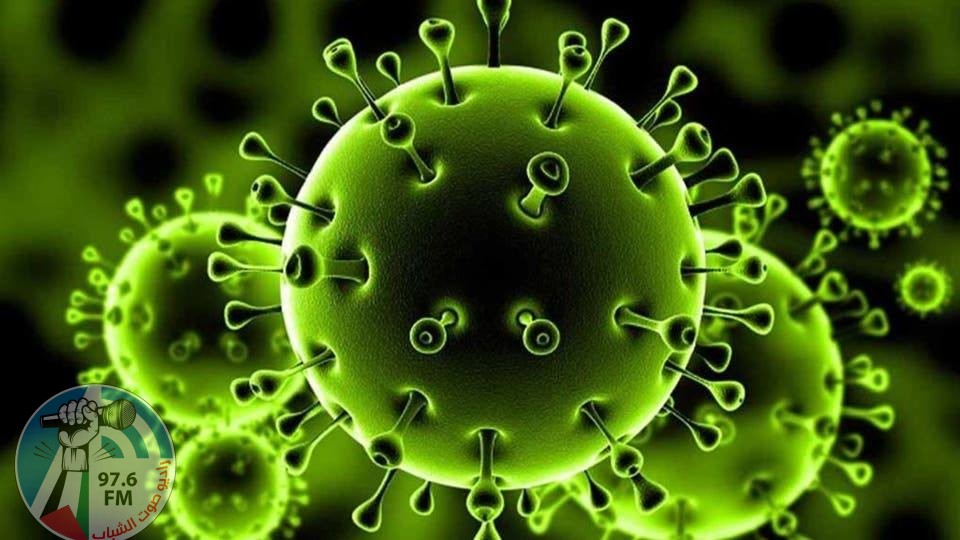 مصر: 21 وفاة و495 إصابة جديدة بفيروس كورونا