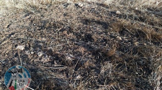 مستوطنون يحرقون 30 دونما من المحاصيل الزراعية بالقرب من مسافر يطا