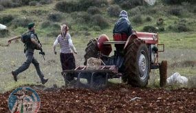 قوات الاحتلال تمنع فعالية لحراثة الأراضي جنوب نابلس