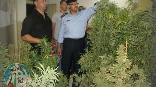 الشرطة تلقي القبض على تاجر مخدرات في رام الله.