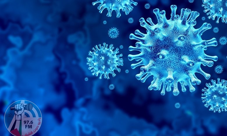 وزيرة الصحة: ارتفاع حصيلة الإصابات بفيروس كورونا إلى 673 والتعافي إلى 570