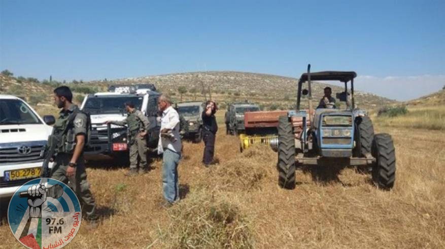 الاحتلال يصور منشآت زراعية في الأغوار الشمالية