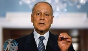 أبو الغيط: المنطقة العربية تتعرض لتنمّر إقليمي