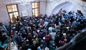 اصابة بالرصاص المعدني والعشرات بالاختناق بعد اقتحام مستوطنين مقام يوسف