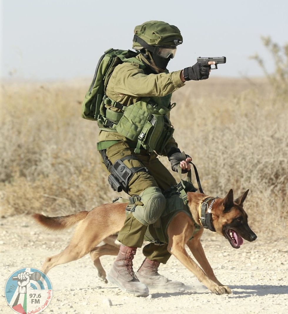 ما سر التجارب القاتلة على الحيوانات في الجيش الإسرائيلي