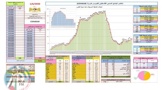 وزيرة الصحة: 15% من مجمل الإصابات بكورونا لا تزال نشطة