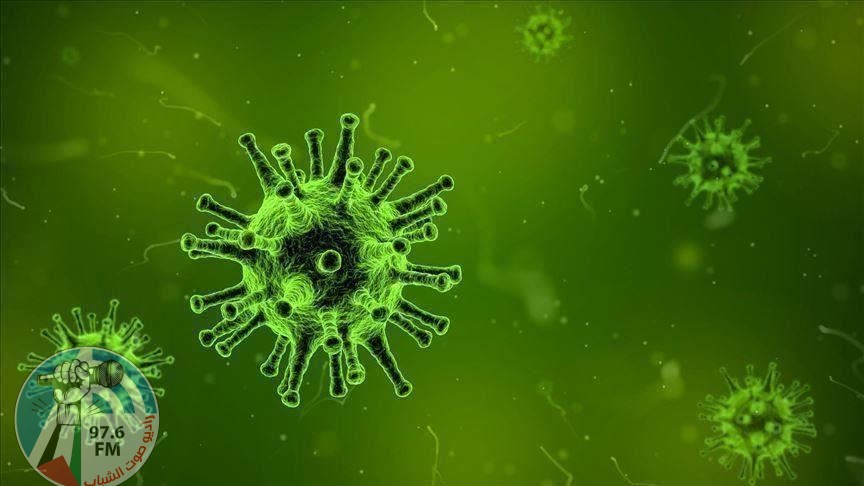 كوريا الجنوبية تسجل 39 إصابة جديدة بفيروس كورونا