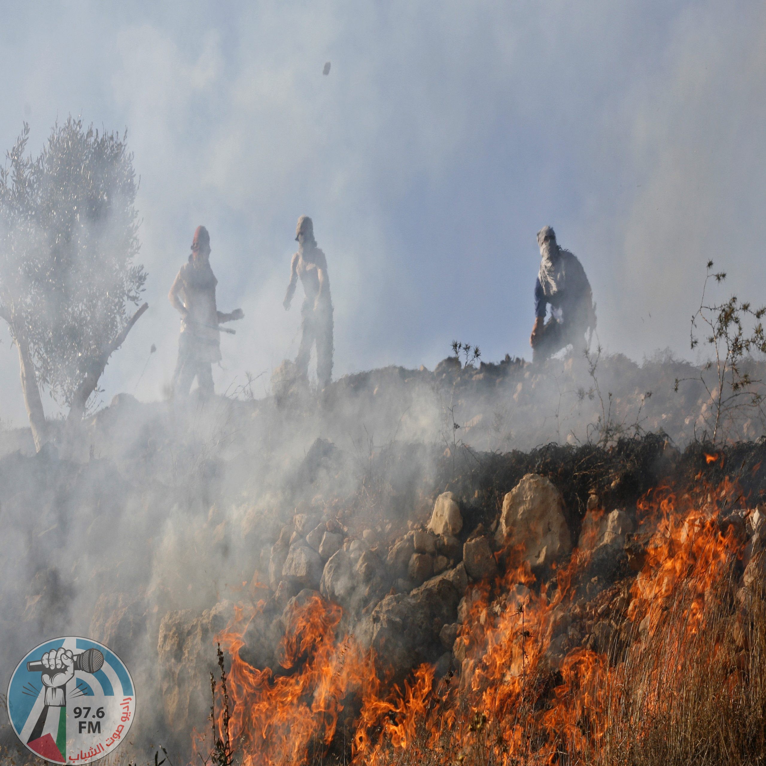 عصابات المستوطنين تضرم النار بأشجار زيتون في حوارة جنوب نابلس