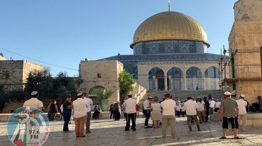 الأوقاف: أكثر من 23 اقتحاما للأقصى و47 وقتا منع رفع الأذان في الابراهيمي خلال الشهر الماضي