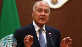 أبو الغيط: الجامعة العربية متمسكة بالثوابت الرئيسية للقضية الفلسطينة