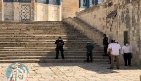 اغلاق باب المغاربة بعد اقتحام 32 مستوطنا المسجد الاقصى