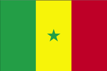 سفير السنغال في باريس: موقفنا ثابت في دعم القضية الفلسطينية