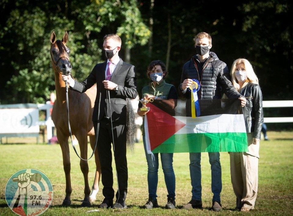 فلسطين تفوز بالفضية في بطولة بلجيكا للخيول العربية الأصيلة