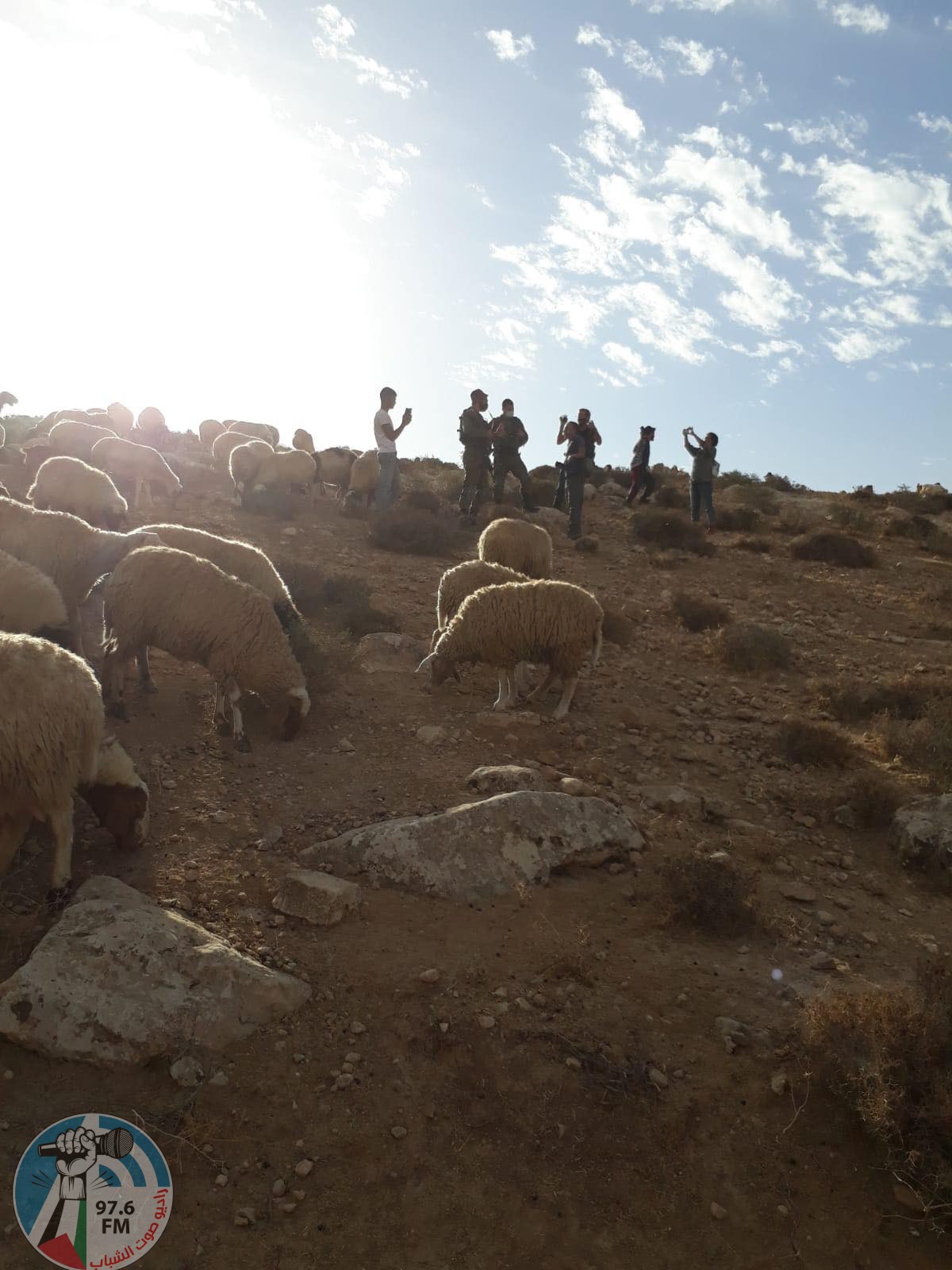 مستوطنون يعتدون على رعاة الماشية في يطا