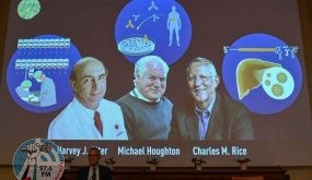نوبل: فوز بريطاني وأمريكييْن بجائزة الطب لاكتشافهم فيروس التهاب الكبد “سي”