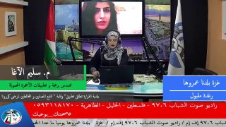 بلدية القرارة تطلق تطبيق ” وقاية ” لتتبع المصابين و المخالطين لمرضى الكورونا