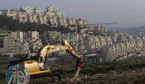 التفكجي: مشاريع الاحتلال لشق طرق استيطانية في الضفة عملية اقتلاع فلسطيني