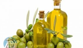 “المواصفات والمقاييس” تطلق مسابقة الزيت الذهبي لعام 2020