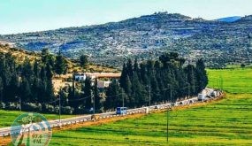 بهدف الاستيلاء عليها بالقوة: مستوطنون يزرعون أشجارا في أراضي المواطنين في الساوية