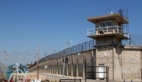 140 طفلًا يواجهون أوضاعًا قاسية في سجون الاحتلال