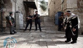 القدس: مشروع استيطاني جديد يستهدف البلدة القديمة