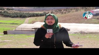 برنامج نقاط على الحروف
