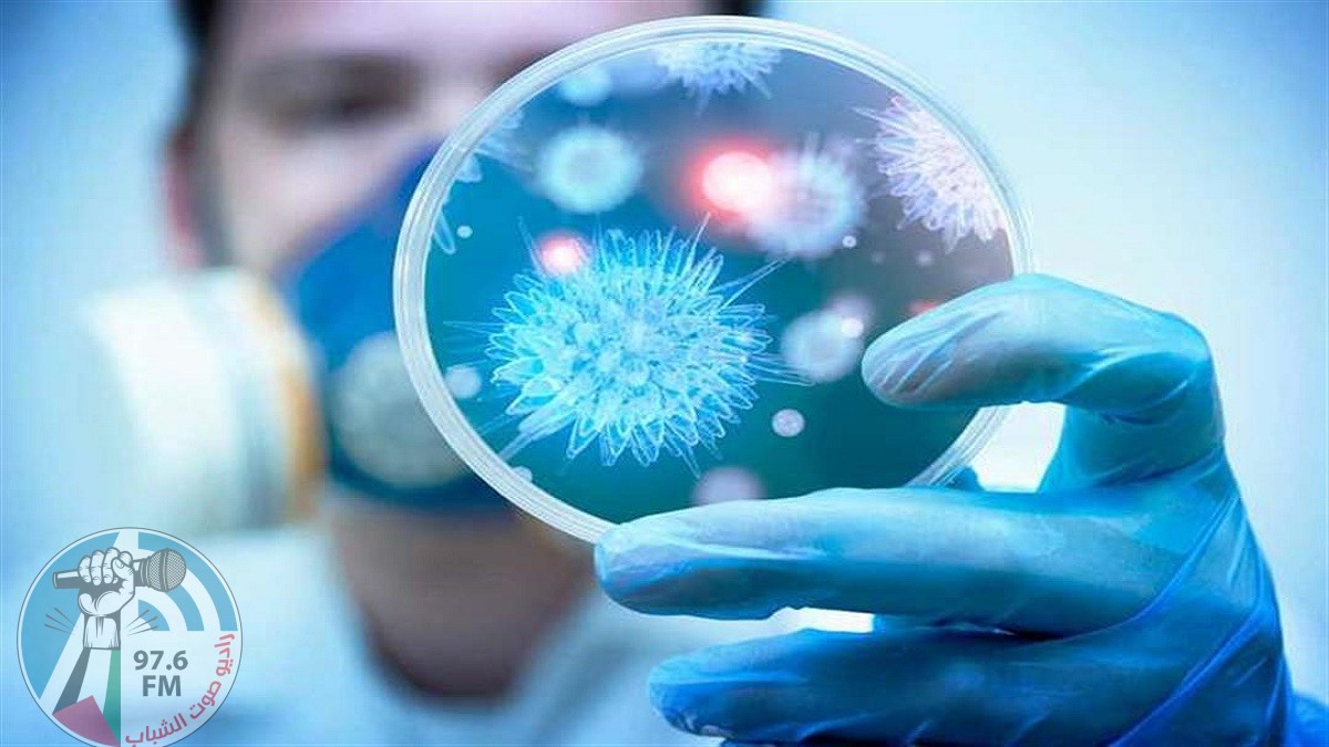 اليابان تكتشف سلالة جديدة من فيروس “كورونا”