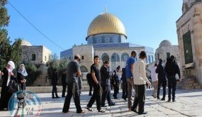 مستوطنون يقتحمون الأقصى ويؤدون طقوسا تلمودية
