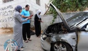 مستوطنون يحرقون مركبتين في بلدة ترمسعيا