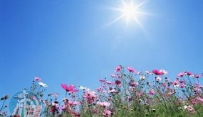 حالة الطقس: أجواء دافئة وربيعية حتى نهاية الأسبوع