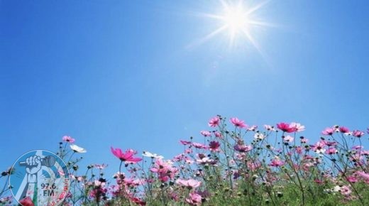 حالة الطقس: أجواء دافئة وربيعية حتى نهاية الأسبوع