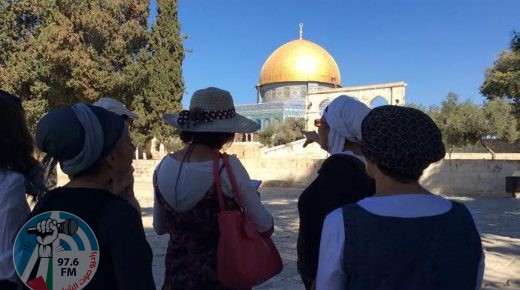 “نساء لأجل الهيكل” يقتحمن سطوح الخان في القدس القديمة والاحتلال يعتقل مقدسيا