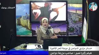 غزة بلدنا عمروها – خسائر مزارعي الدواجن في موجة الحر الأخيرة