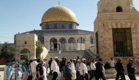 228 مستوطنًا يقتحمون باحات الأقصى