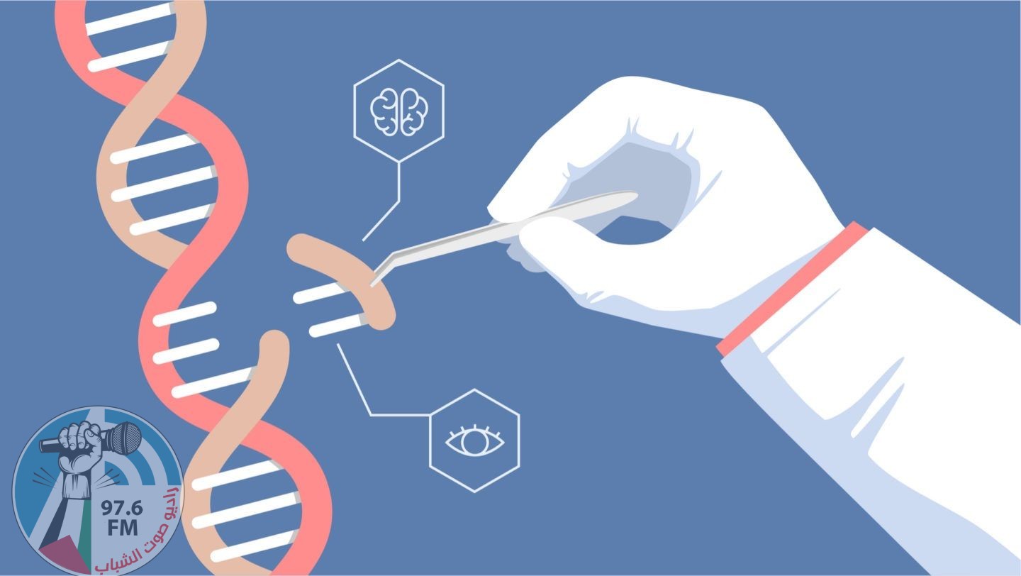 الجينات الوراثية: أخطاء قد تنتقل عبر الأجيال وتغير شكل الجنس البشري