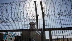 إدارة سجون الاحتلال تنقل الأسير ربيع أبو نواس إلى عزل سجن “مجدو”