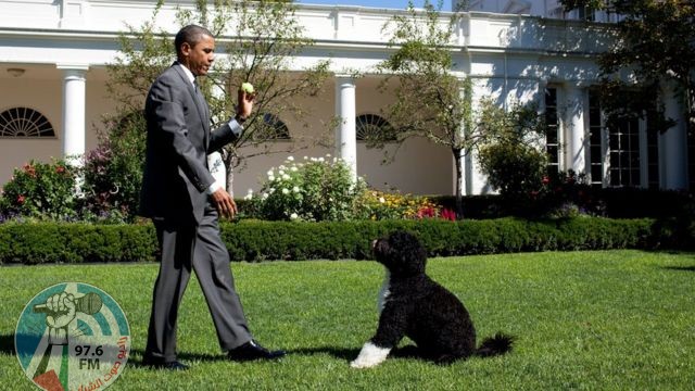 عائلة الرئيس الأمريكي السابق باراك أوباما تودّع الكلب “بو”
