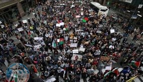 تظاهرة حاشدة في هيوستن الأميركية تضامنا مع شعبنا وتنديدا بالعدوان الإسرائيلي