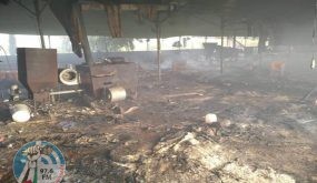 نفوق 10 آلاف صوص دجاج إثر حريق مزرعة في بلدة قباطية
