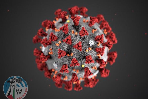 كورونا عالميا: 3 ملايين و777 الف وفاة و175 مليونا و186 ألف إصابة