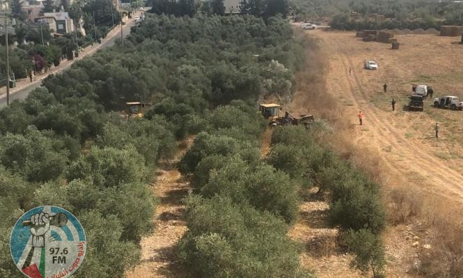 الاحتلال يقتلع أشجار زيتون وتهدم معرشا في رهط