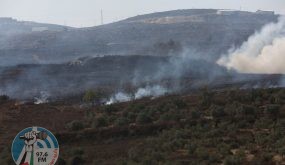 مستوطنون يحرقون عشرات أشتال التين والزيتون غرب سلفيت