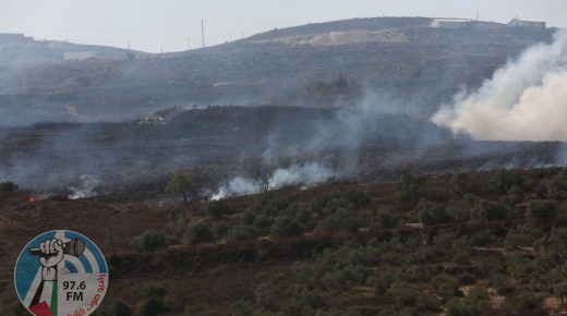 مستوطنون يحرقون عشرات أشتال التين والزيتون غرب سلفيت