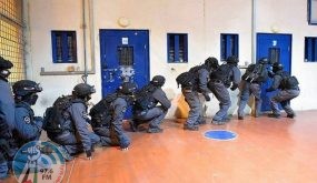 قوات القمع تقتحم قسم (22) في سجن النقب